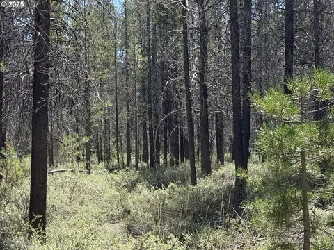 munson drive, Chiloquin, OR 97624 photo 32