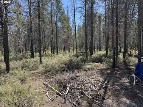 munson drive, Chiloquin, OR 97624 photo 6