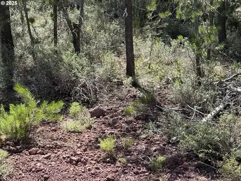 munson drive, Chiloquin, OR 97624 photo 30
