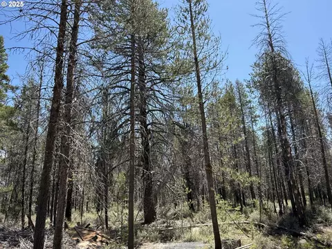 munson drive, Chiloquin, OR 97624 photo 18
