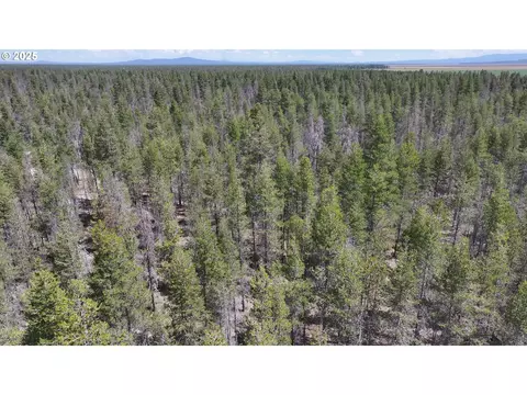 munson drive, Chiloquin, OR 97624 photo 39