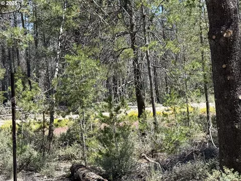 munson drive, Chiloquin, OR 97624 photo 21