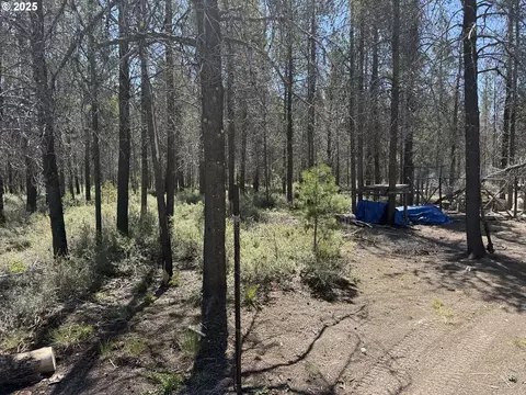 munson drive, Chiloquin, OR 97624 photo 7