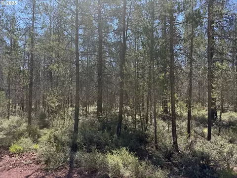 munson drive, Chiloquin, OR 97624 photo 14