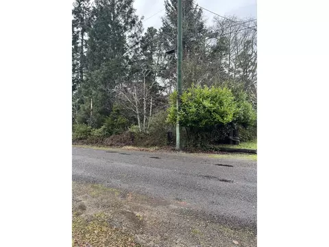 282 Nd #LOT 6, Ocean Park, WA 98640