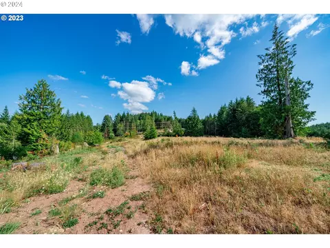 0 S Silver Lk #8, Castle Rock, WA 98611