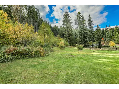 Wallace Creek Rd, Carson, WA 98610