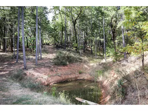 Quartz Creek Rd, Merlin, OR 97532