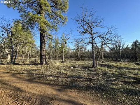 piney woods, Goldendale, WA 98620