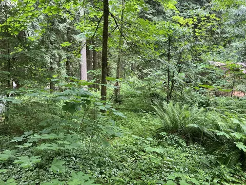 Arthur Hailey Rd, Rhododendron, OR 97049