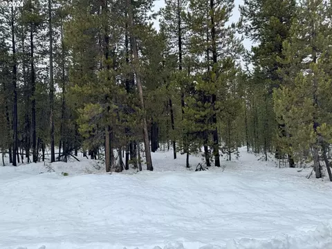 97733 Lake Road #TL-9, Crescent Lake, OR 97733