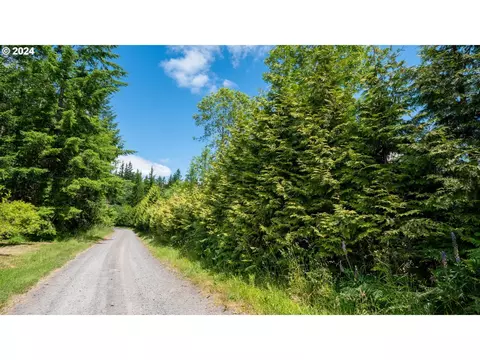 Schumacher Rd, Rainier, OR 97048