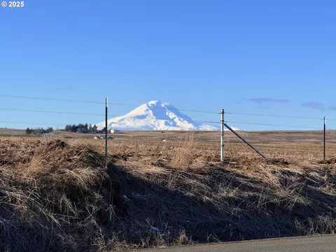 323 Roosevelt St, Centerville, WA 98613