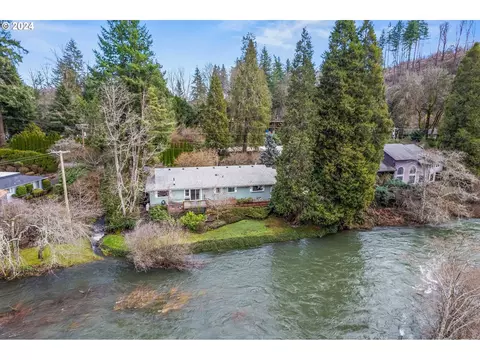 91070 Leashore Dr, Vida, OR 97488