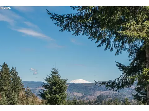 260 Livingston Heights Dr, Longview, WA 98632
