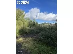 930 NE Highway 20, Toledo, OR 97391