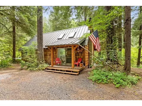 Cabin 208 Northwoods, Cougar, WA 98616