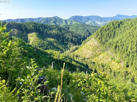 Stagecoach Rd, Deadwood, OR 97430