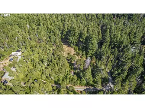89009 Towhee Ln, Bandon, OR 97411