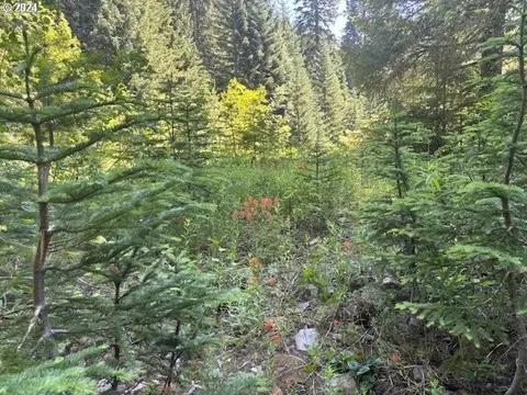 SE Fsr 4610, Estacada, OR 97023