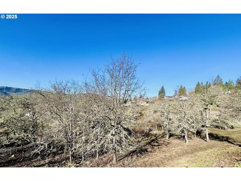  320 Cegavske Ln, Roseburg, OR 97470 photo 41