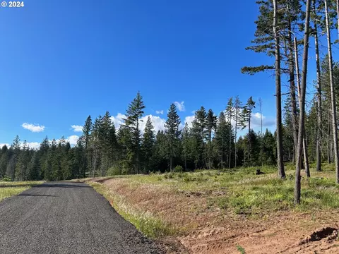 19 Snag Rd, Lyle, WA 98635