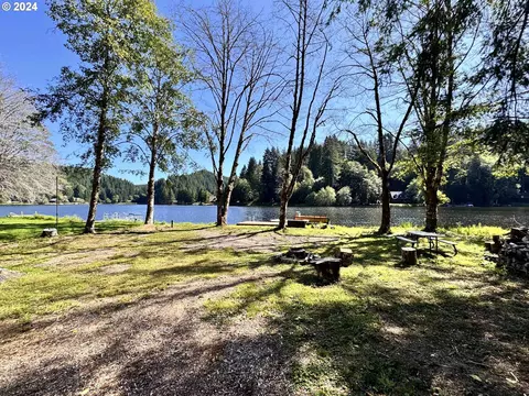 71382 Northshore Dr, Birkenfeld, OR 97016