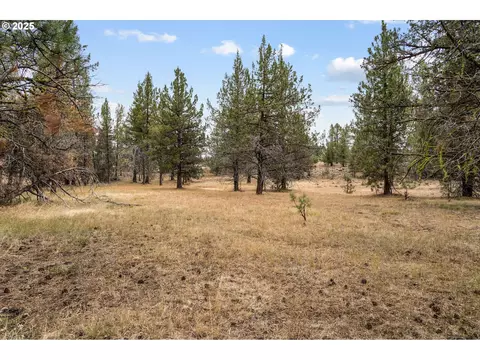 Wolf Creek Rd 42, Paulina, OR 97751