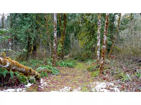 NE Bonanza Rd, Brush Prairie, WA 98606