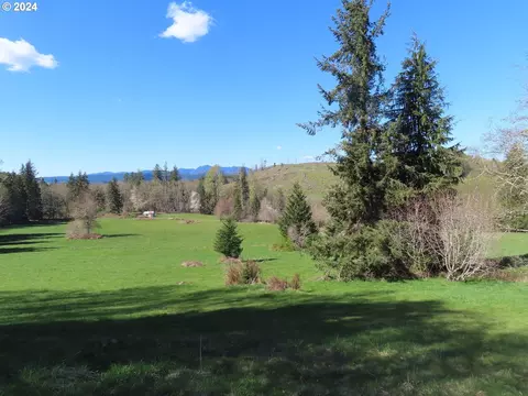 Hagen Rd, Mossyrock, WA 98564
