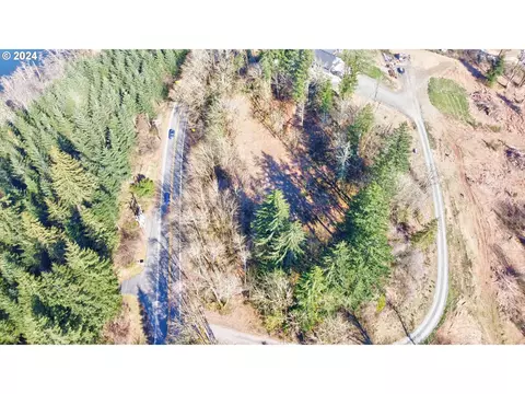 NE Farger Lake Hwy, Yacolt, WA 98675
