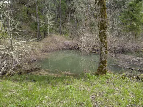 Other - 85255 Christensen Rd, Eugene, OR 97405 photo 7 of 8