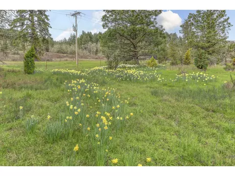 Other - 85255 Christensen Rd, Eugene, OR 97405 photo 6 of 8