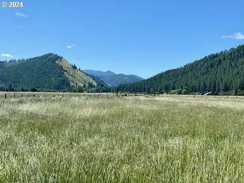 75275 Upper Diamond Ln, Wallowa, OR 97885