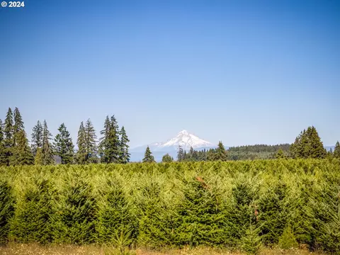 22701 S Ringle Ct, Beavercreek, OR 97004