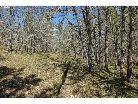secluded way, Lyle, WA 98635 photo 13