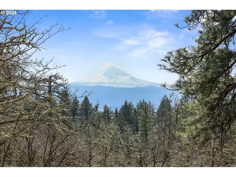 secluded way, Lyle, WA 98635 photo 19