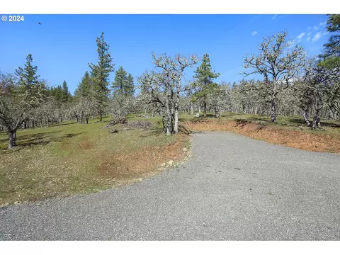 secluded way, Lyle, WA 98635 photo 6