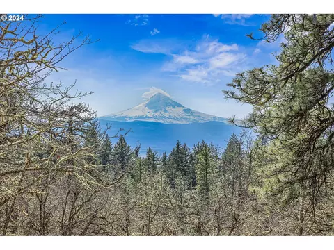 secluded way, Lyle, WA 98635