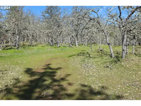 secluded way, Lyle, WA 98635 photo 7