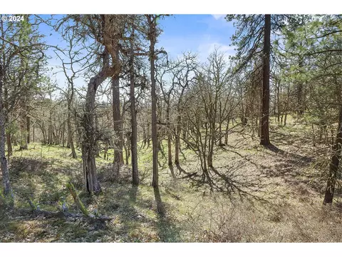 secluded way, Lyle, WA 98635 photo 14