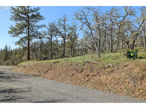 secluded way, Lyle, WA 98635 photo 16
