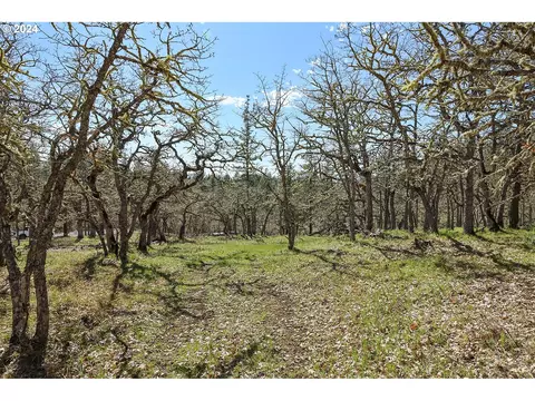 secluded way, Lyle, WA 98635 photo 8