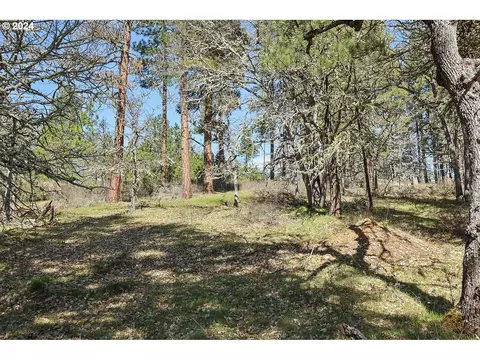 secluded way, Lyle, WA 98635 photo 15