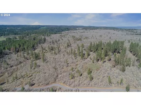 secluded way, Lyle, WA 98635 photo 3