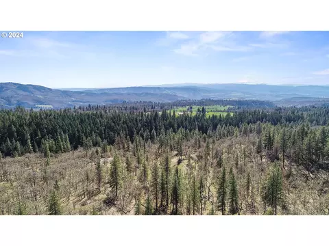 secluded way, Lyle, WA 98635 photo 5