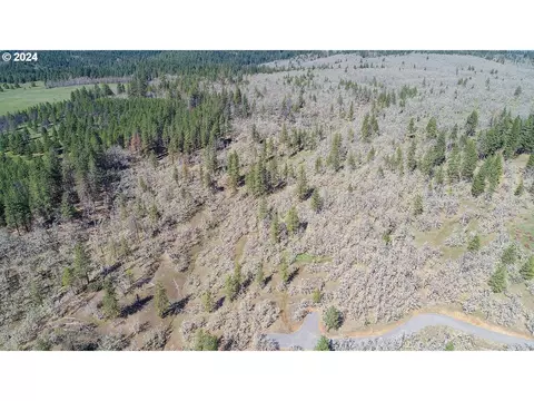 secluded way, Lyle, WA 98635 photo 18