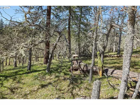 secluded way, Lyle, WA 98635 photo 12