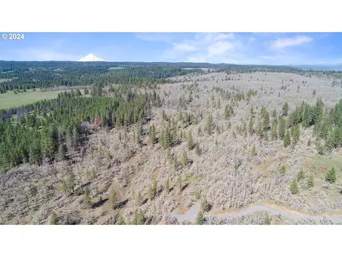 secluded way, Lyle, WA 98635 photo 17