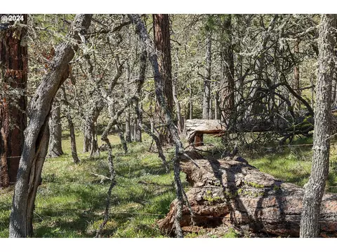 secluded way, Lyle, WA 98635 photo 11